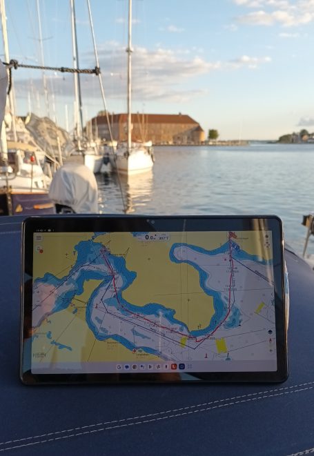 Dolphins - Sonderborg